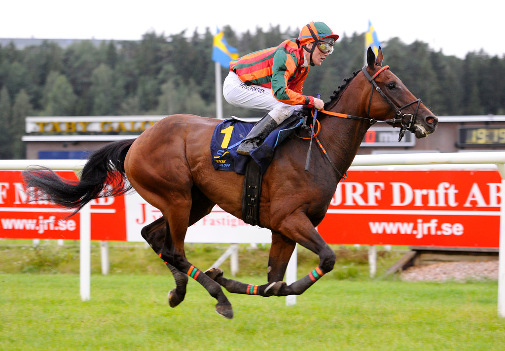 Stald Chilis Hovsa havde marginalerne imod sig i fjor, men tjente alligevel over 700.000 kroner. Foto: Stefan Olsson / Svensk Galopp.