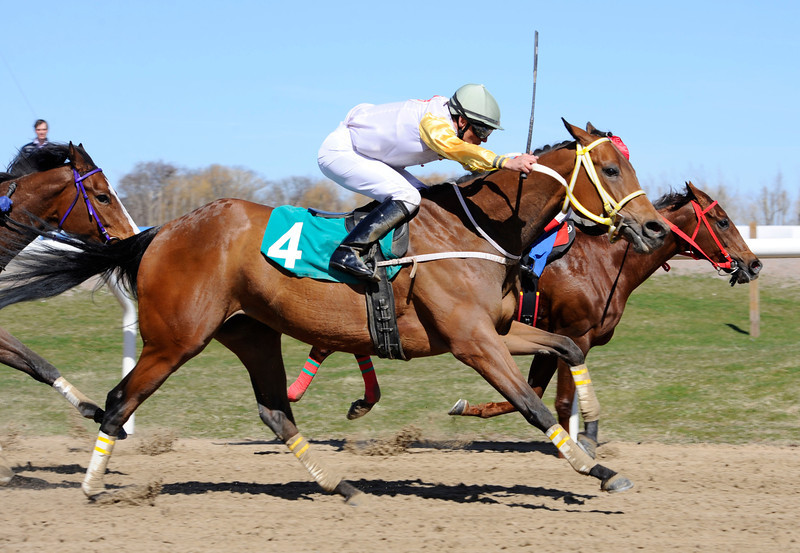 Udvendige Latitude/Per-Anders Gråberg når akkurat at passere White Cheek Fox/Elione Chaves på målstregen i NSR Minneslöpning. Foto: Stefan Olsson / Svensk Galopp.