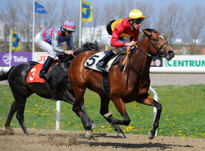 Liber/Jacob Johansen vinder 2000 Shillings foran Pal O'Mine/Rafael Schistl på Jägersro. Foto: Stefan Olsson / Svensk Galopp.