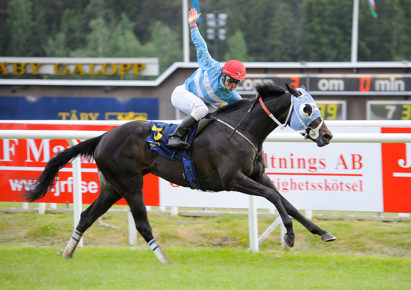 Fredrik Reuterskiöld-trænede Matauri Pearl kan på lørdag vinde sin tredje klassiske sejr på stribe i Svenskt Oaks. Foto: Stefan Olsson / Svensk Galopp.