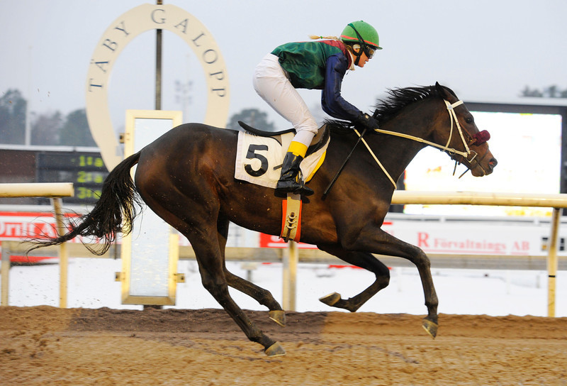 Mountain Onyx og Jessica Lindberg blev årets sidste vindere på Täby. Foto: Stefan Olsson / Svensk Galopp.