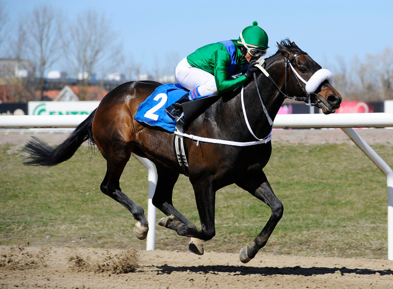 Mulan/Manuel Martinez. Foto: Stefan Olsson / Svensk Galopp.