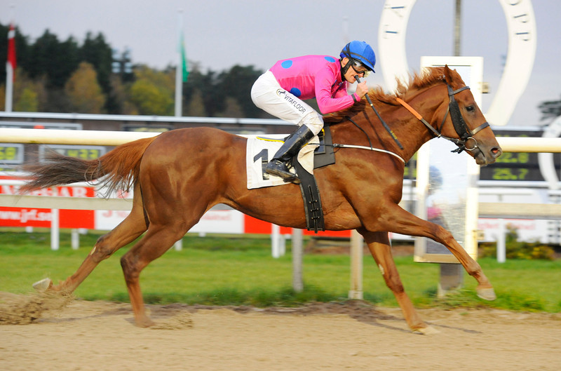 Stall Trick Or Treats Quite A Mission topper Derbyets ranking-liste. Foto: Stefan Olsson / Svensk Galopp.