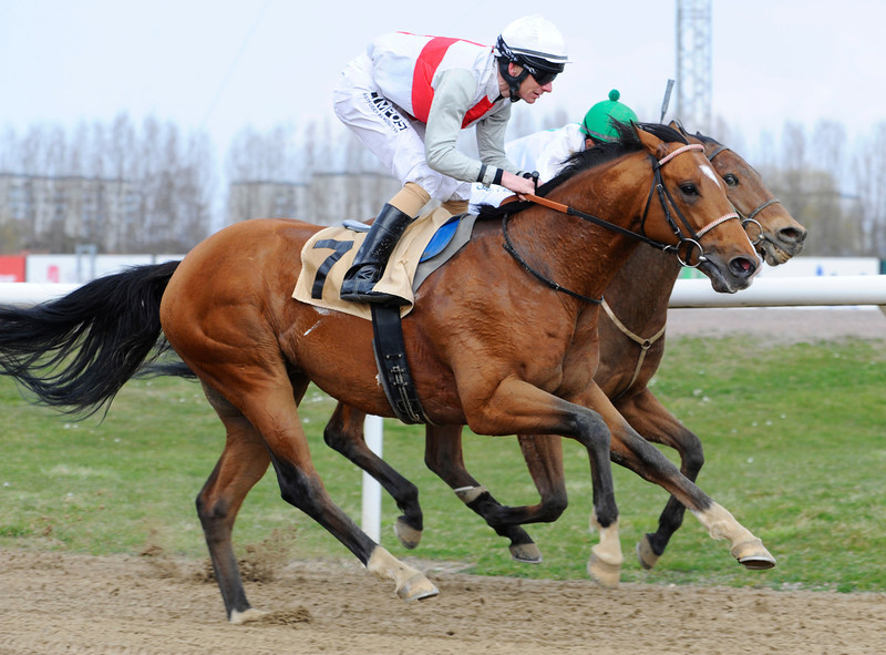 Reggae Dancer/Jacob Johansen indfriede favoritværdigheden på Jägersro. Foto: Svensk Galopp/Stefan Olsson.