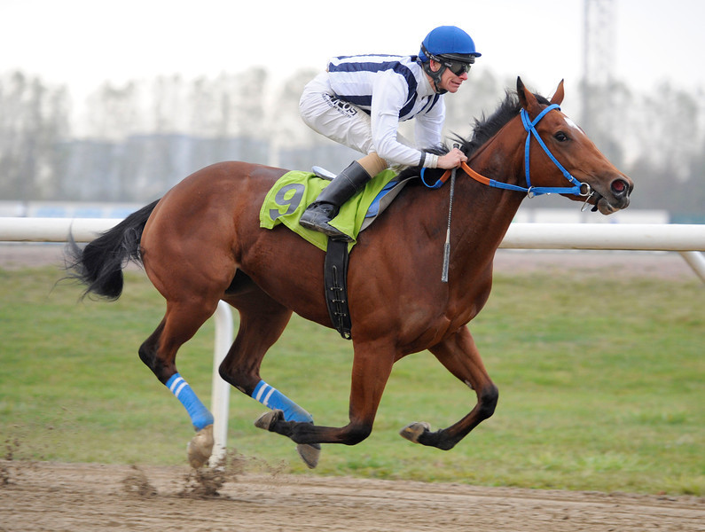 Rock Of Ridd/Jacob Johansen aflægger maidentitlen i sin første start på Jägersro. Foto: Stefan Olsson/Svensk Galopp.