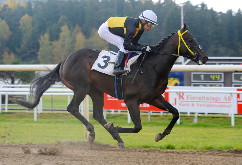 Saving Kenny og Carlos Lopez vinder tredje sejr på stribe i Stockholm. Foto: Stefan Olsson / Svensk Galopp.