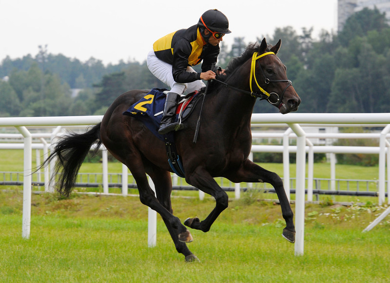 Ubesejrede Saving Kenny (Footstepsinthesand). Foto: Stefan Olsson / Svensk Galopp.