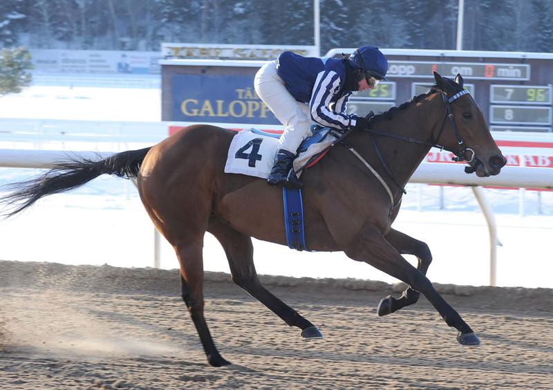 Rebecca Colldin vandt sin første af i alt tre dagssejre med Silence Is Bliss. Foto: Stefan Uppström / Svensk Galopp.