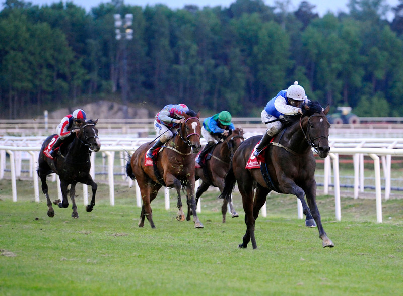 Sir Lando vandt sidste års udgave af Stockholms Stora Pris (Gr.3) på Täby. Tirsdag aften møder han bl.a. Bank Of Burden, Plantagenet, Without Fear og Touch Of Hawk. Foto: Stefan Olsson / Svensk Galopp.