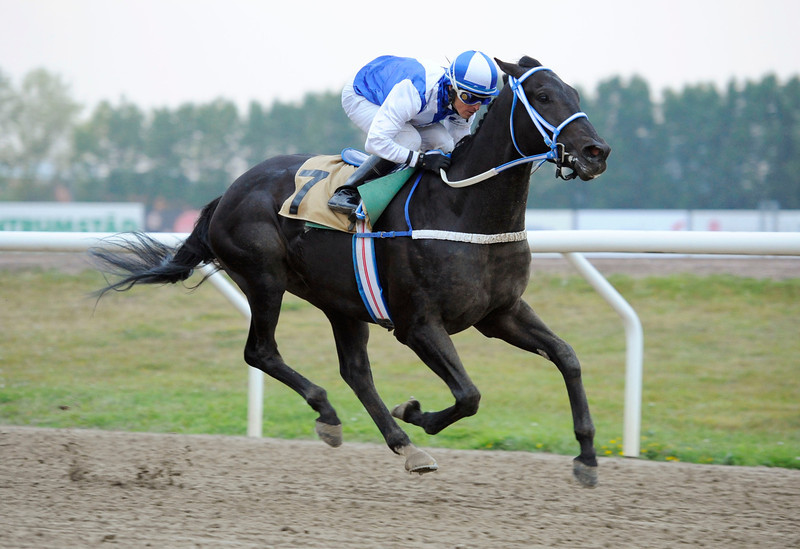 Tom Hagen/Manuel Martinez på vej mod sejren i Kay Jensens Pris. Foto: Stefan Olsson / Svensk Galopp.