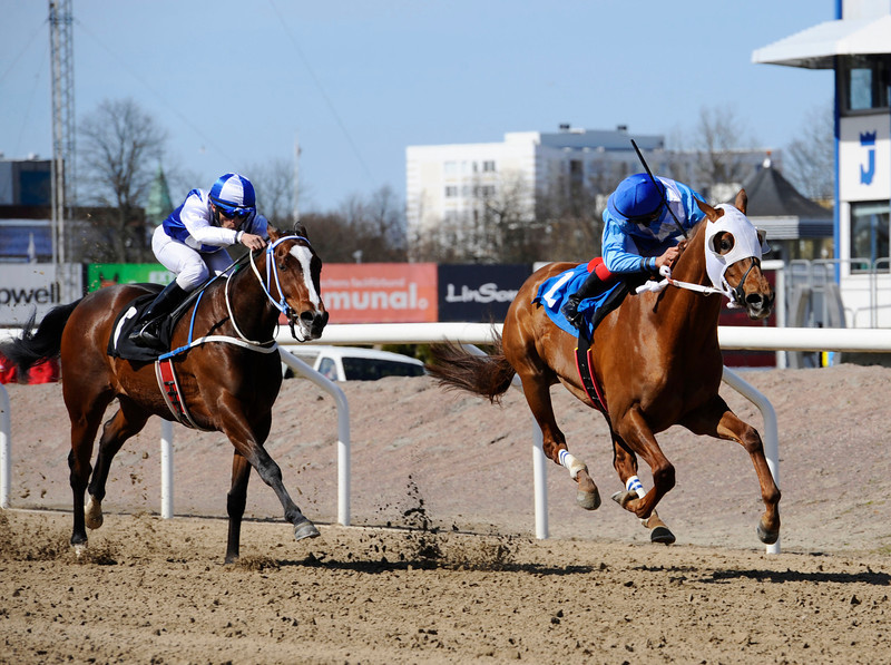 Lennart Reuterskiöld Jr's Virgil. Foto Stefan Olsson / Svensk Galopp.