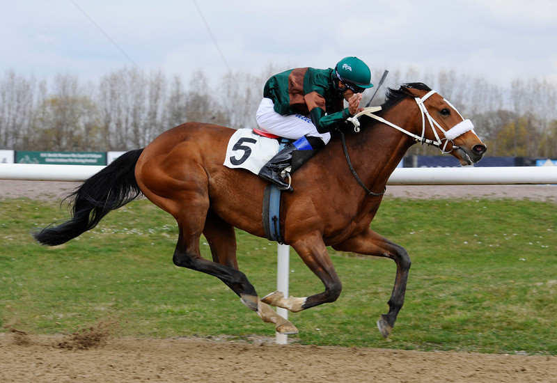 Weald/Danny Patil vinder Norra Skånska Regementets Minneslöpning. Foto: Svensk Galopp/Stefan Olsson.