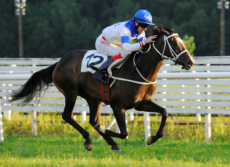 Air Strike Eleven/Nicolaj Stott på vej mod sejren i sidste års Breeders' Trophy Stayer på Täby. Foto: Svensk Galopp / Stefan Olsson.