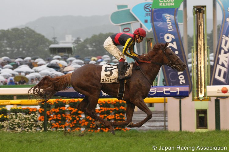 Triple Crown-vinderen Orfevre er klar til at vinde Prix de l'Arc (Gr.1) for Japan.