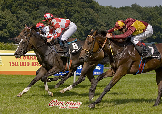 Belle Blanche (Susanne Vittarp) vandt Skandinavisk Opdrætningsløb i 2007 foran den senere Derbyvinder, Master Kid, og Kriteriums/Auktionsløbsvinderen Lois Lane. Foto: US Photo.