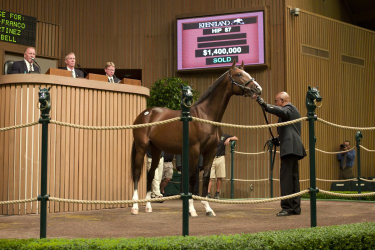 Keenelands September Yearling Sale følger den globale trend med højere markedspriser på fuldblodsheste. Foto: Keeneland Sales.