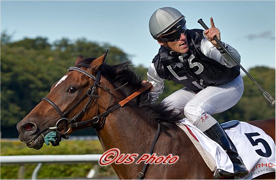 Loquita vandt Beierholm Dansk Oaks 2010 under Lennart Hammer.