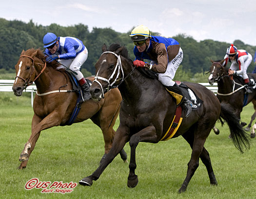 Mambo King vandt Pokalløb (L) med John Fortune på ryggen i 2007. Foto: US Photo.