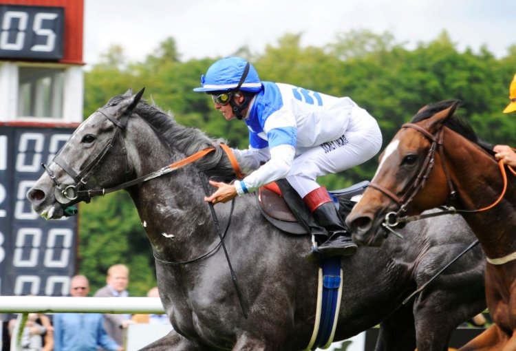 Mariyca/Dina Danekilde ved sejren i Mingun Fawzia Stakes 2011 på Klampenborg, hvor hoppen besejrede Niels Petersens duo Grafitti og Tatoosh. Foto: Stefan Olsson / Svensk Galopp.