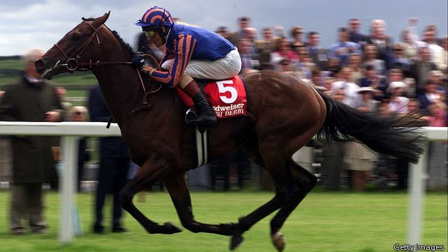 Montjeu (Sadler's Wells) blev 16 år gammel. Foto: Coolmore.