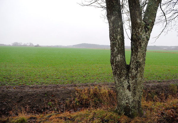 Önsta Gård i Bro blev udbudt til mere end 380 millioner kroner, men Svensk Galopp fik ifølge Hans Hansson forhandlet prisen seks gange ned - til 64 millioner SEK. Foto: Svensk Galopp.