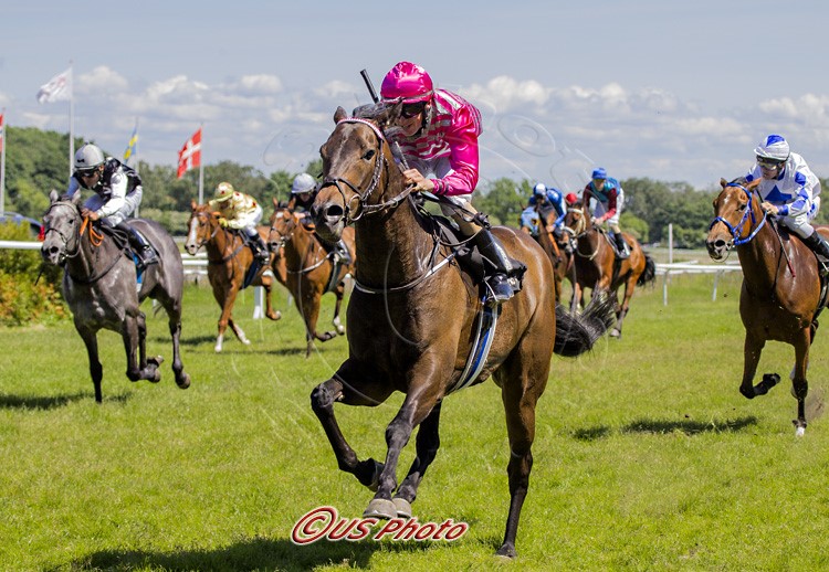 Birgitte Nielsen-trænede Robbie/Marc Stott vinder Dansk Breeders' Cup Consolation foran Sarah/Sara Slot og Blue Saphire/Oliver Wilson. Foto: US Photo.