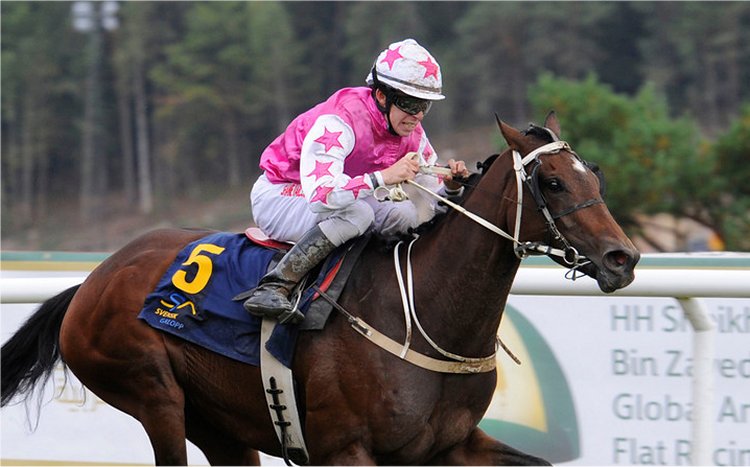 Såfremt Shane Karlsson holder sin føring ved onsdagens finale i Ole Larsen Young Riders' Championship, vil det være tredje gang han vinder jockeyturneringen. Foto: Stefan Olsson / Svensk Galopp.