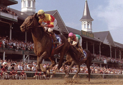 Fusaichi Pegasus (Mr Prospector) blev efter sejren i Kentucky Derby (Gr.1) syndikeret for 70 millioner US$ og blev dermed den dyreste avlshingst i historien. Foto: Coolmore.com.