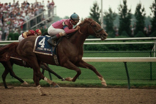 Strike The Gold ved sejren i Kentucky Derby (Gr.1) 1991.